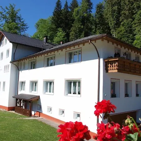 Apartament Todtmoos 1 *
