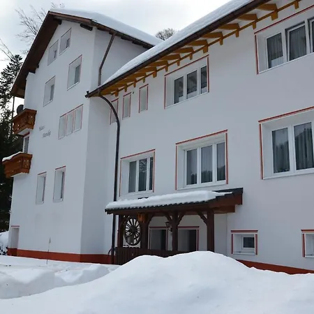 Apartament Todtmoos 1 *