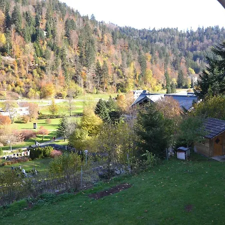 Apartament Todtmoos 1 Vordertodtmoos