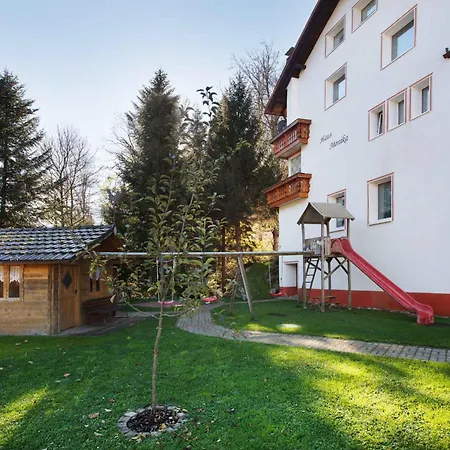 Lägenhet 1 Todtmoos